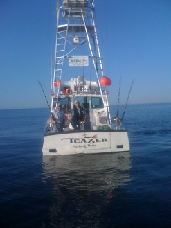Find the best deals online. Teazer Charters