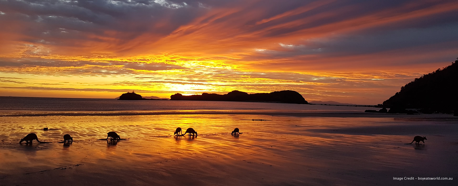 Qantas and jetstar fly from hervey bay airport . Hervey Bay To Airlie Beach Tripfarm