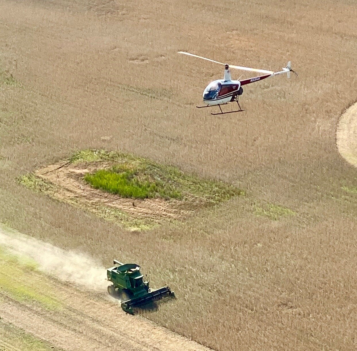 If you’re a homeowner with a yard, a riding mower is imperative to help you with upkeep. 1helo Com