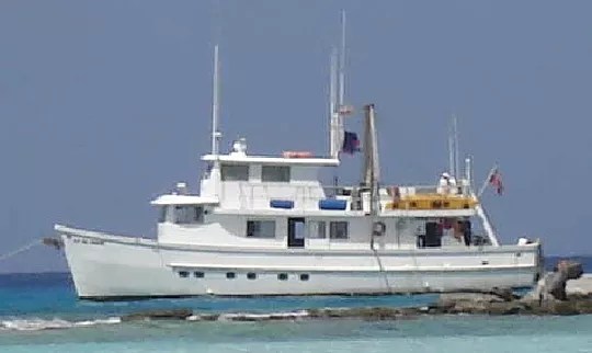Welcome to islamorada dive center in islamorada, fl! Home Sea Dragon