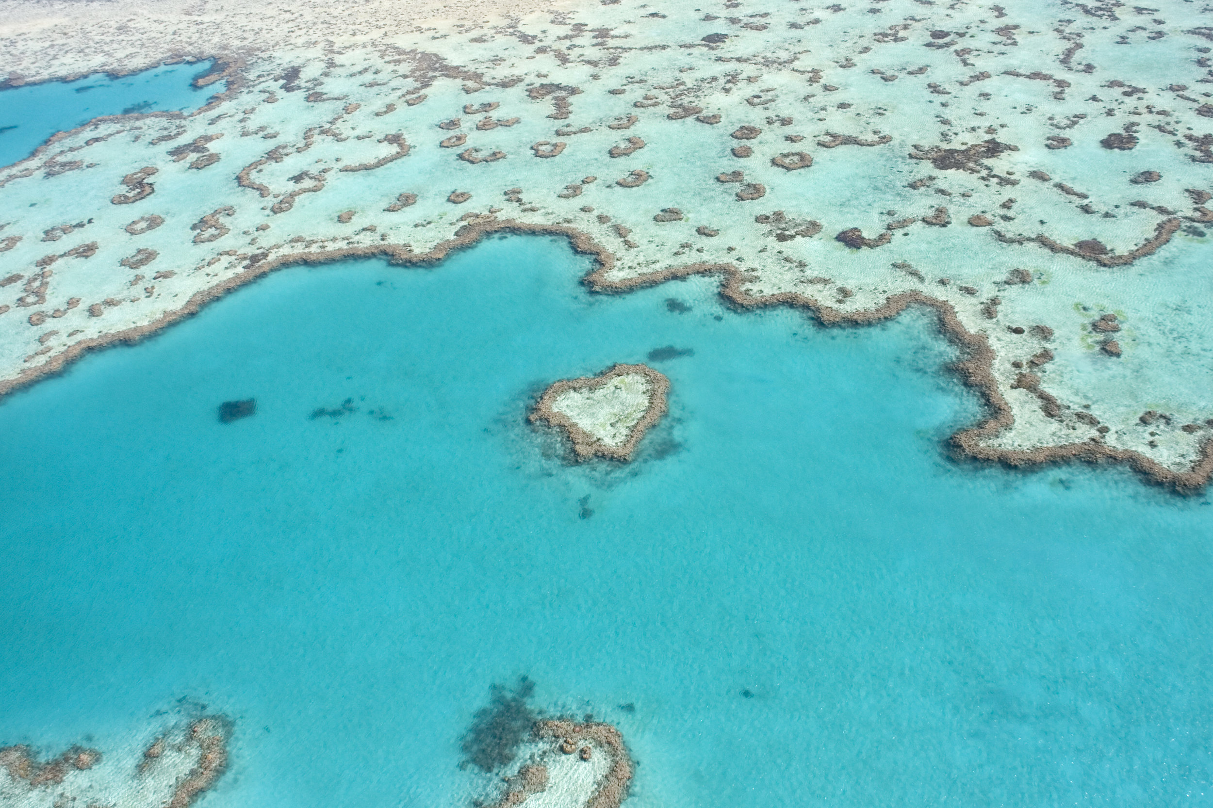 The remote beauty of bedarra makes it one of the best examples of luxury island stays on the reef. An Insight Into The Great Barrier Reef Australia Secret Travel Guide