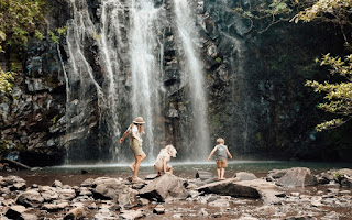 The whitsundays holiday dollars will also be available to whitsunday locals. The Holiday And Travel Magazine Holiday Dollars Launches For Brisbane And Whitsundays
