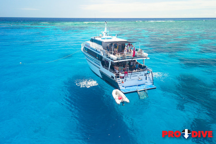 In cairns if you see an advertisement for a liveaboard most likely it is scuba diving, in the whitsundays, . Pro Dive Cairns Liveaboard 3 Days And 2 Nights 11 Dives 2 Nights Tripfarm