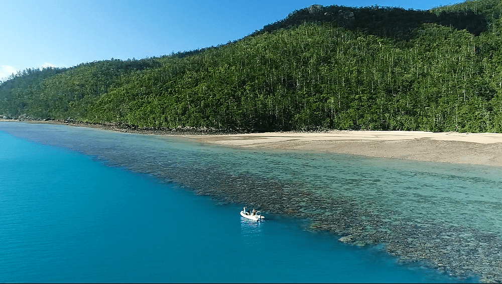 Whitsunday real estate agent anita edgar specialises in selling property on hamilton island and knows the picturesque island like the back of her hand. Gobareboating To The Whitsundays Best Coral