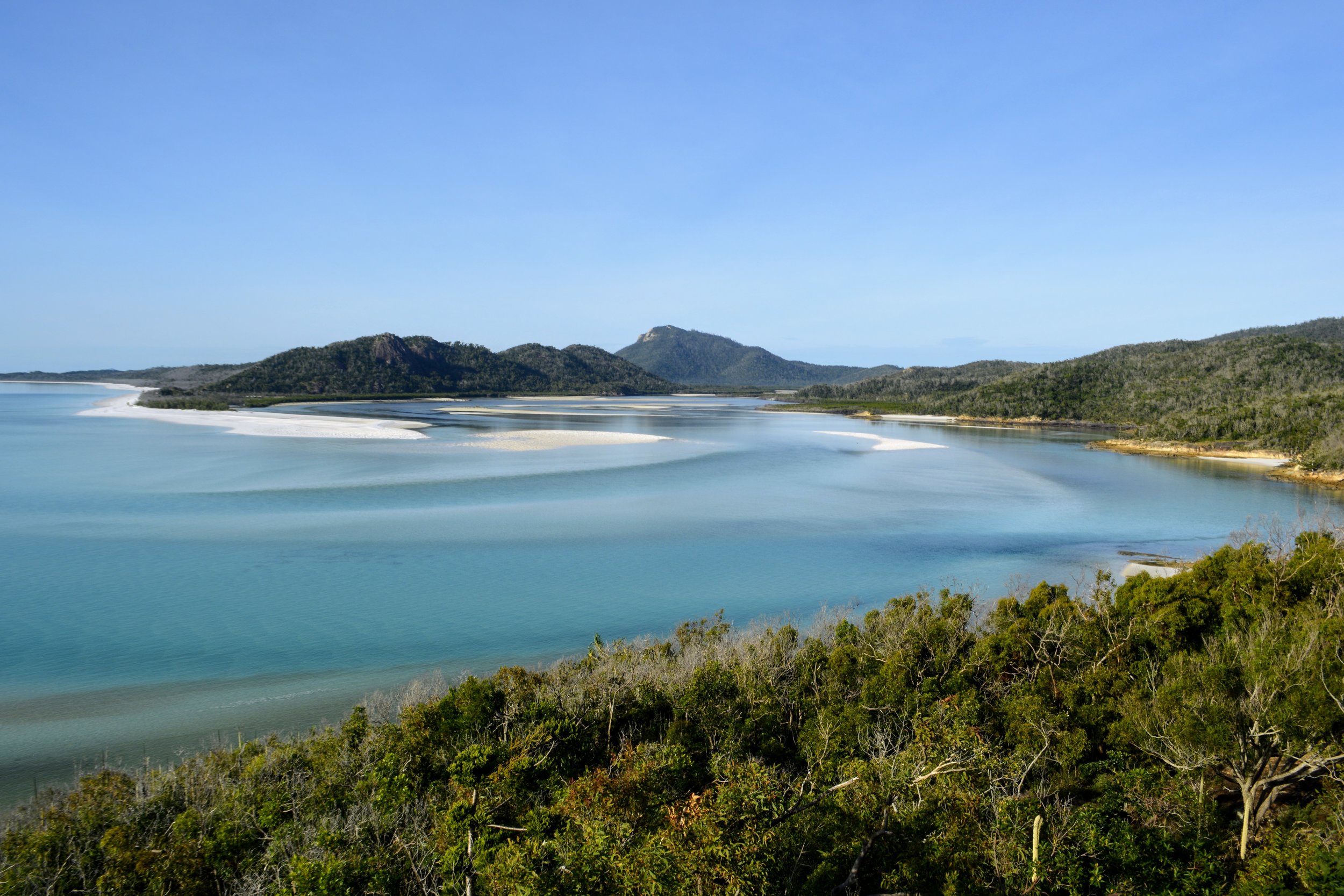 Boondelbah island, at the mouth of port stephens; Whitsunday Islands Rachiepie