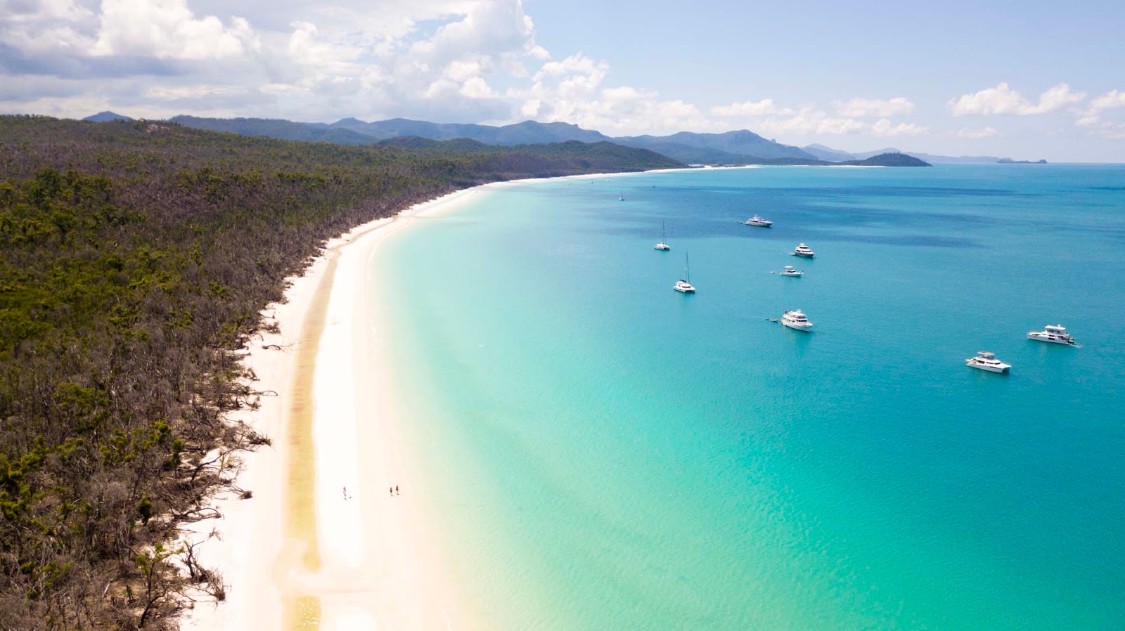 Cruise whitsundays will show you a day out that will quickly become the highlight of your holiday! The Best Whitehaven Beach Tour With Cruise Whitsundays Explore Shaw