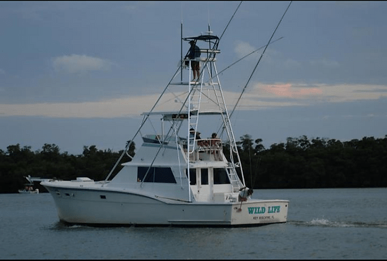 View powerboats for sale on breweryacht.com! Wildlife Charter Deep Sea Fishing Miami Florida Charter Boat Miami