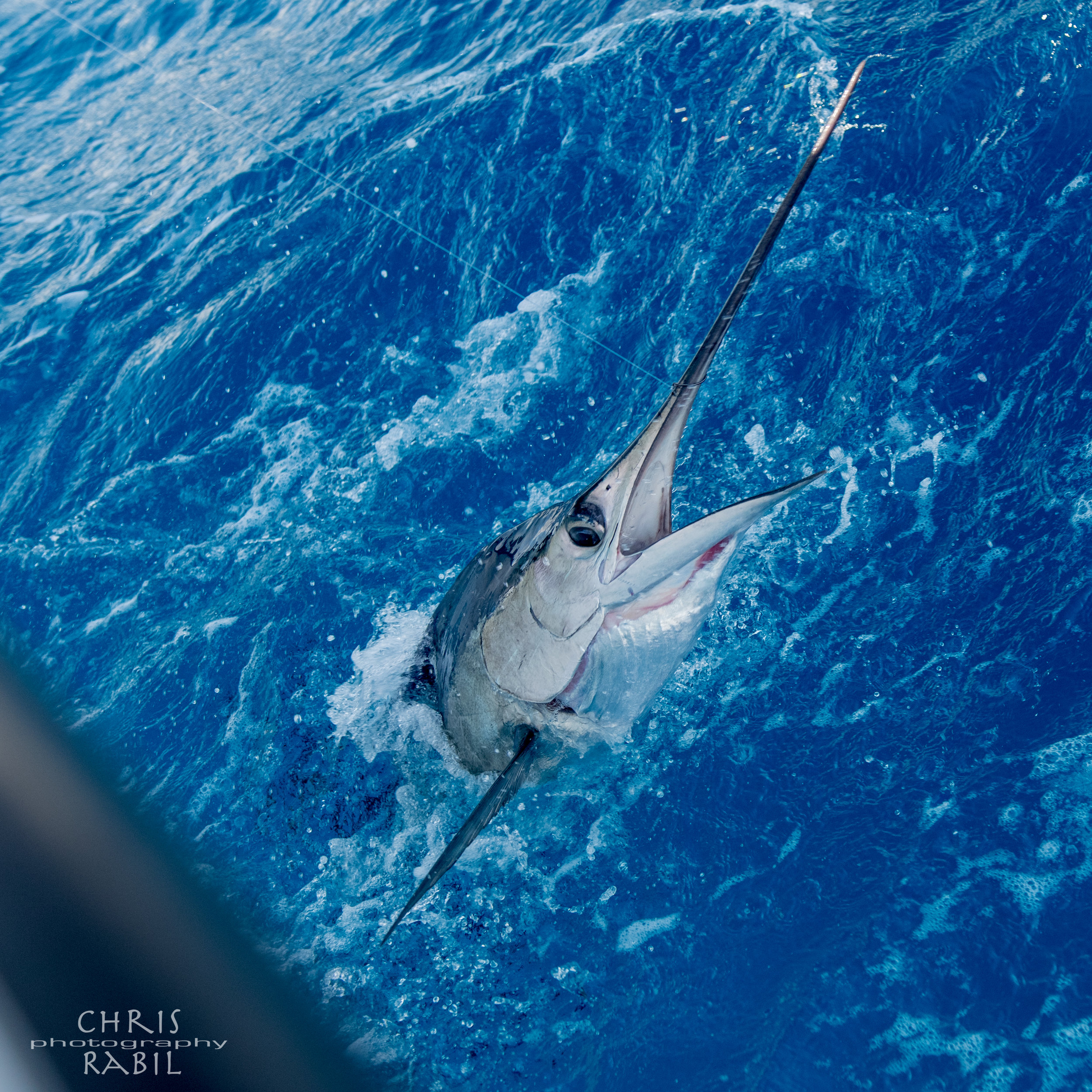 3.3 mi · fishing headquarters. Ft Lauderdale Fishing Charters Miami Fishing Charters Family Jewell Fishing Charters