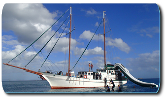 Powerplay is a 12m catamaran with capacity for just 18 passengers. The Best Whitsundays Boat And How To Choose It Tripfarm