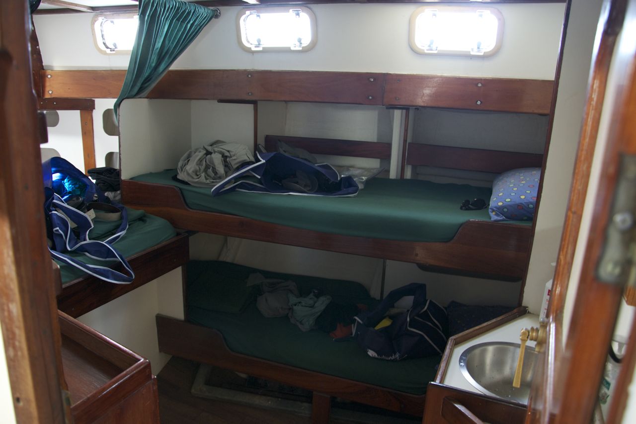 If a person eats half a cup, approximately the amount in th. Our Next Adventure Sailing The Whitsundays Part 1