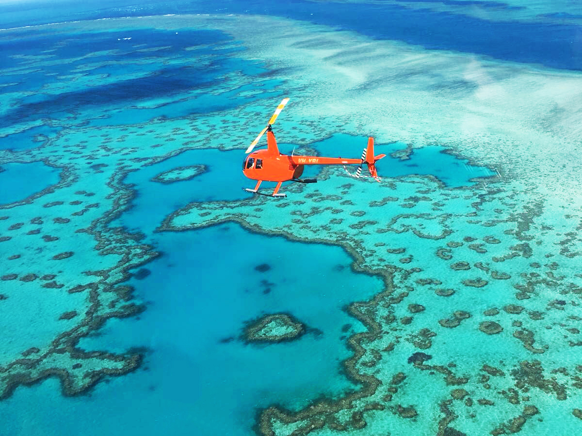 Top pick · from airlie beach: Reef And Whitehaven Beach Landing Helicopter Tour Scenic Flight Booker