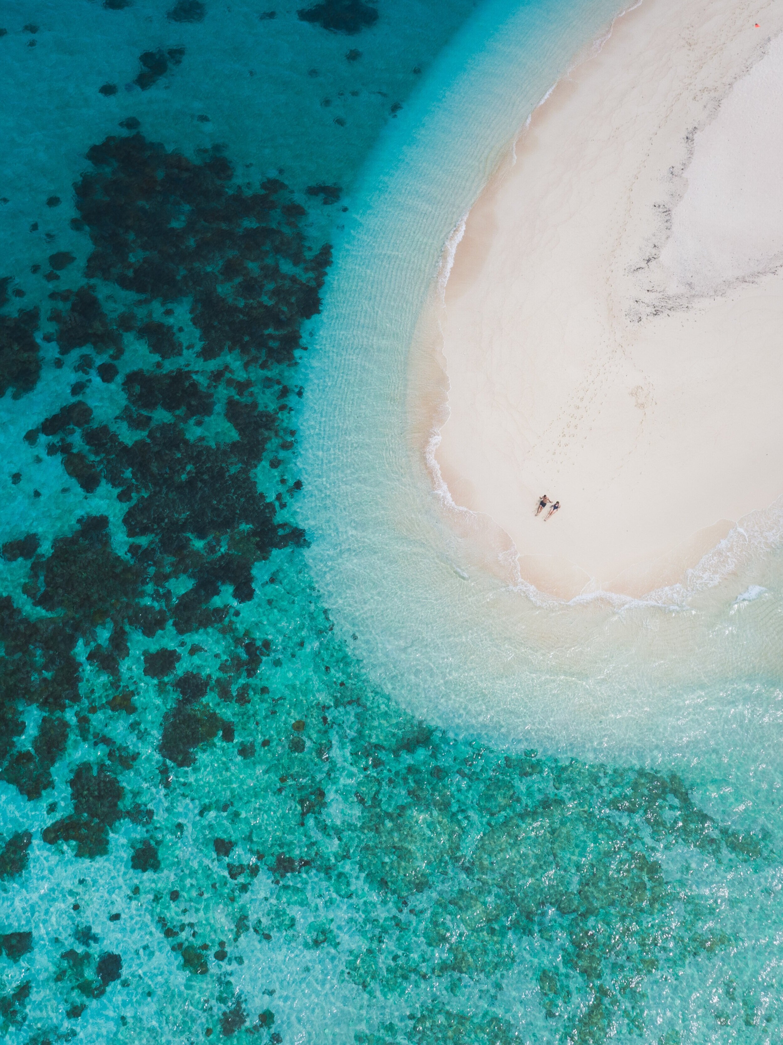 Cruise whitsundays is the region's largest and most experienced marine operator, offering a range of day cruises and island resort connections. The Best Tropical North Queensland Holiday Destinations Itinerary Haylsa