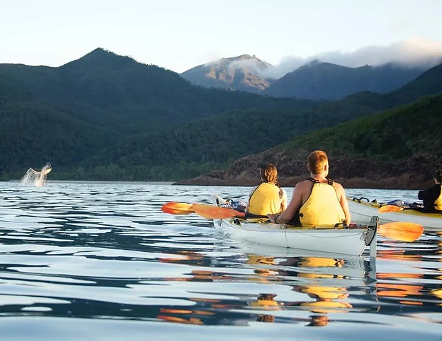 But if you’re more extroverted and prefer the company, a fun travel tour for singles could be the best option. Multi Day Kayak Trips In Whitsundays Australia Coral Sea Kayaking