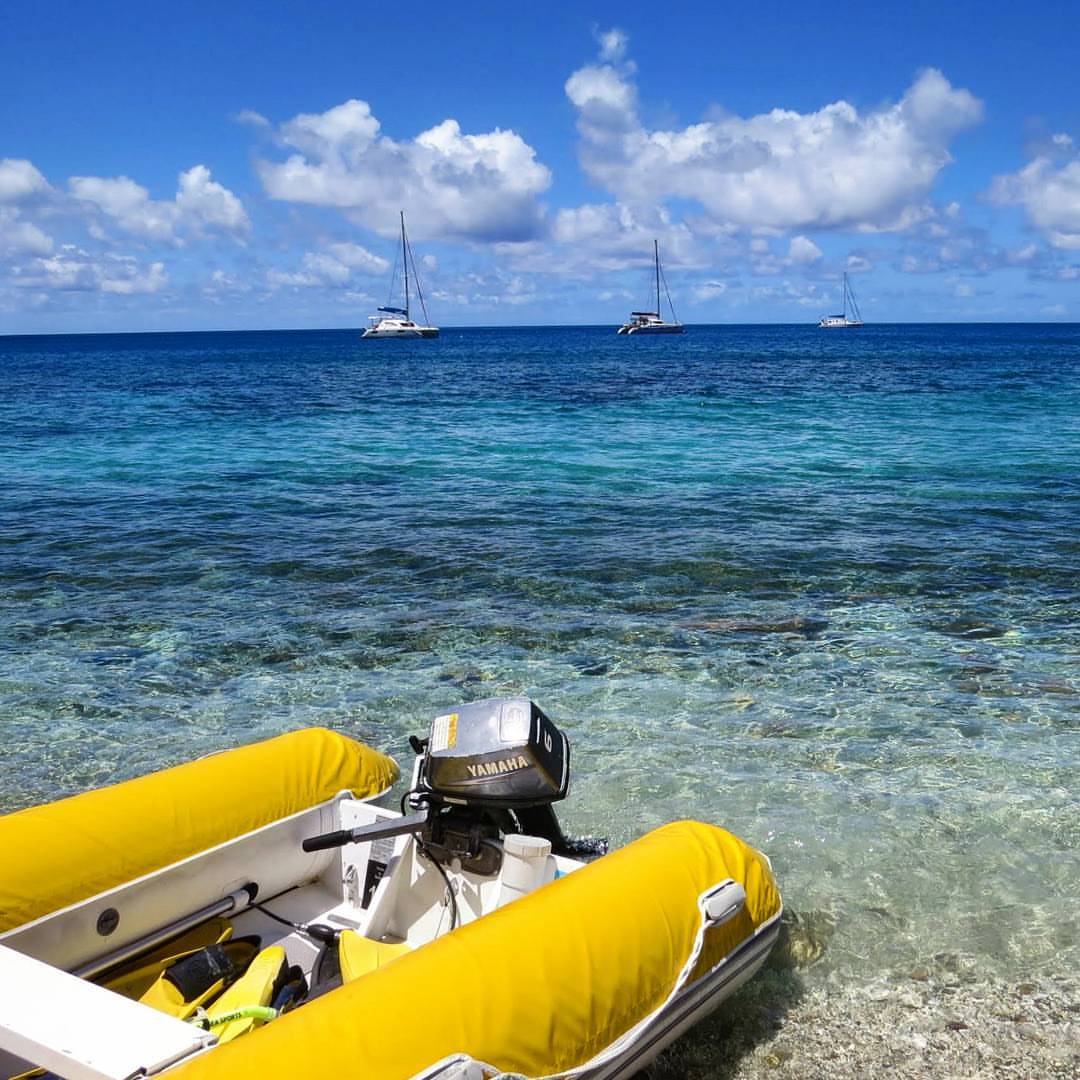 We also offer other exciting day tours in whitsundays, like jetski . The Best Things To See In The Whitsundays On A Queensland Sailing Trip