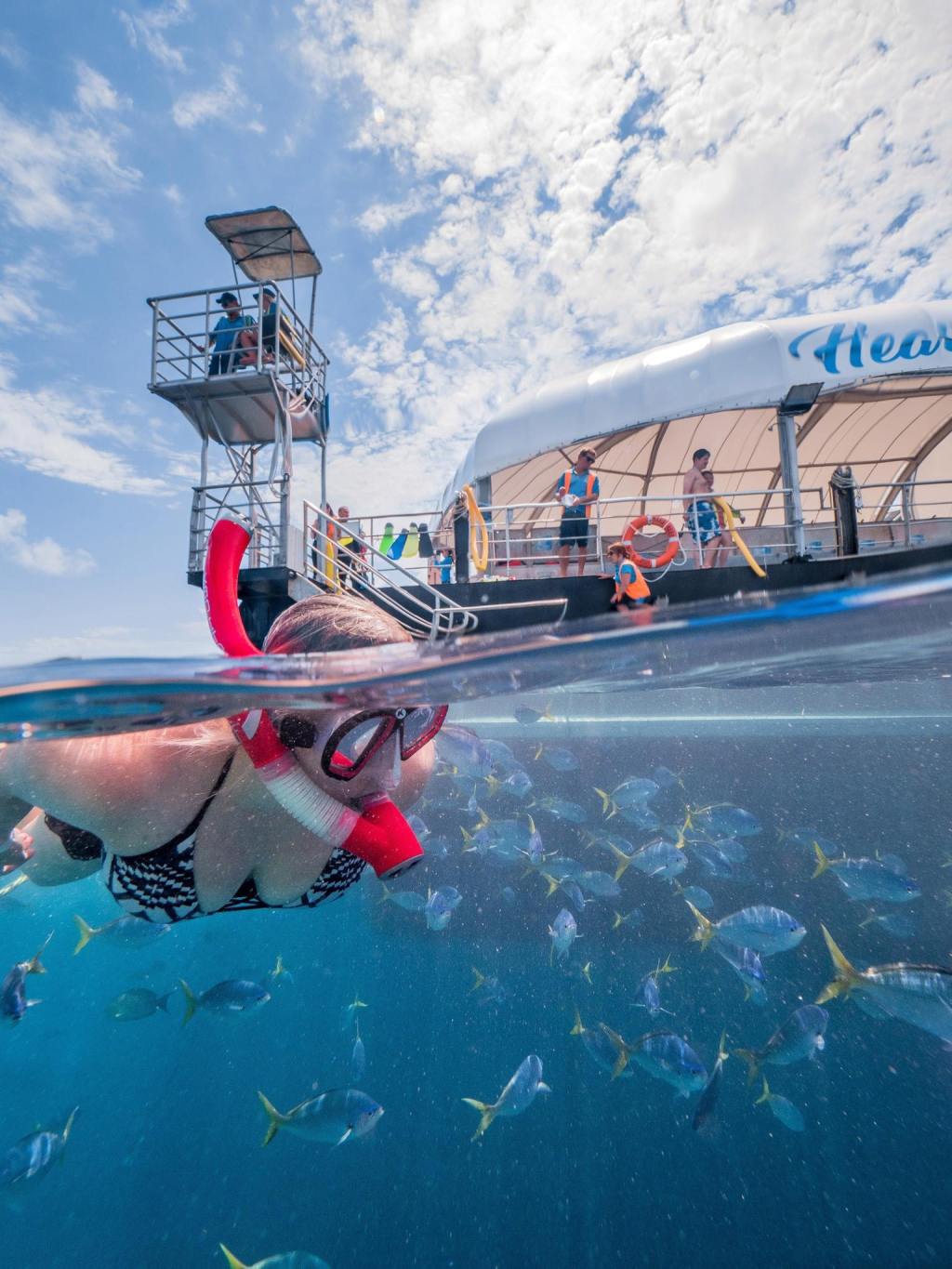 39+ Amazing Cruise Whitsundays Great Barrier Reef Adventures&nbsp;Tour