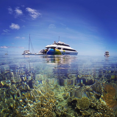 25+ Best Outer Reef Tour&nbsp;Whitsundays