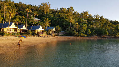 40+ Top Long Island Whitsundays Trip