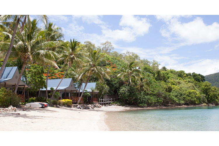 21+ Exploring Palm Bay Resort Whitsundays Qld Australia Trip