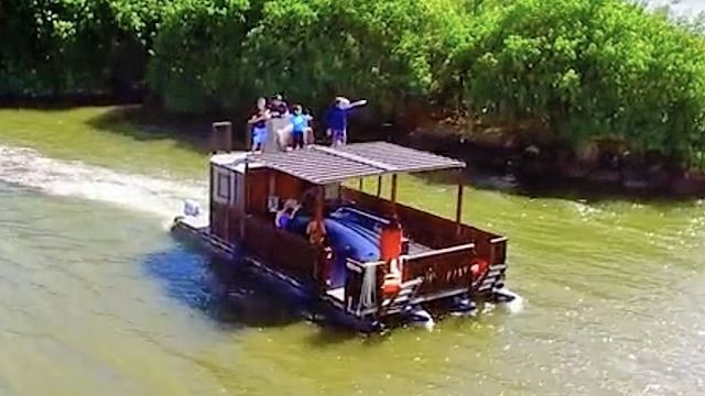 20+ Best Paradise Bay Resort Excursion