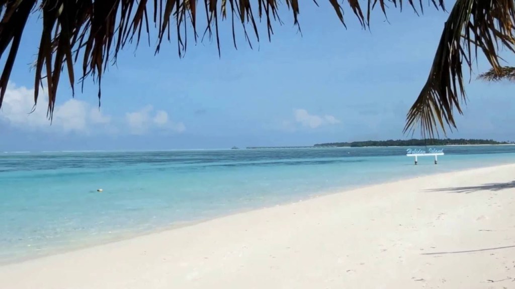 41+ Exploring Holiday Island&nbsp;Trip