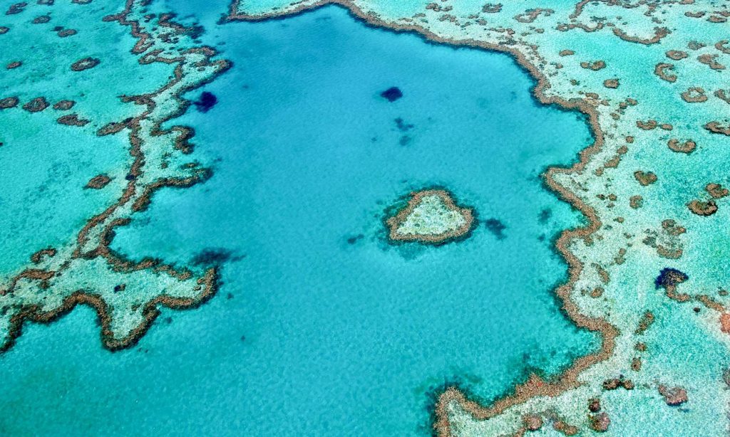 47+ Best Family Friendly Whitsunday Islands Holiday