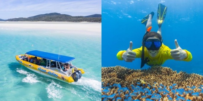 18+ Amazing Ocean Rafting Airlie Beach Reviews&nbsp;Trip