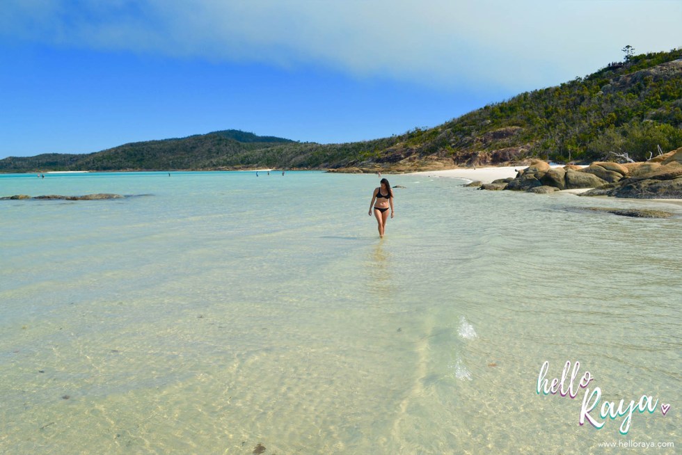 23+ Exploring Peter Bay Whitsunday Island&nbsp;Holiday