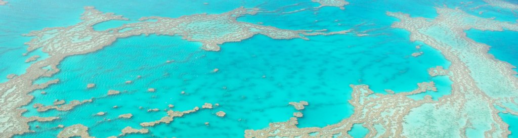 47+ Exploring Great Barrier Reef Whitsundays Or Cairns&nbsp;Excursion
