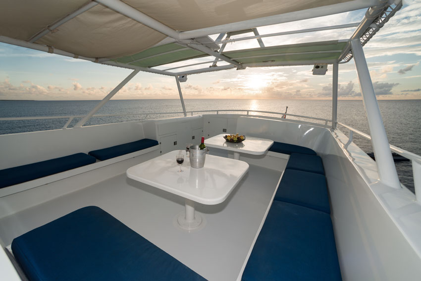 25+ Exploring Liveaboard Dive Trips Caribbean&nbsp;Excursion