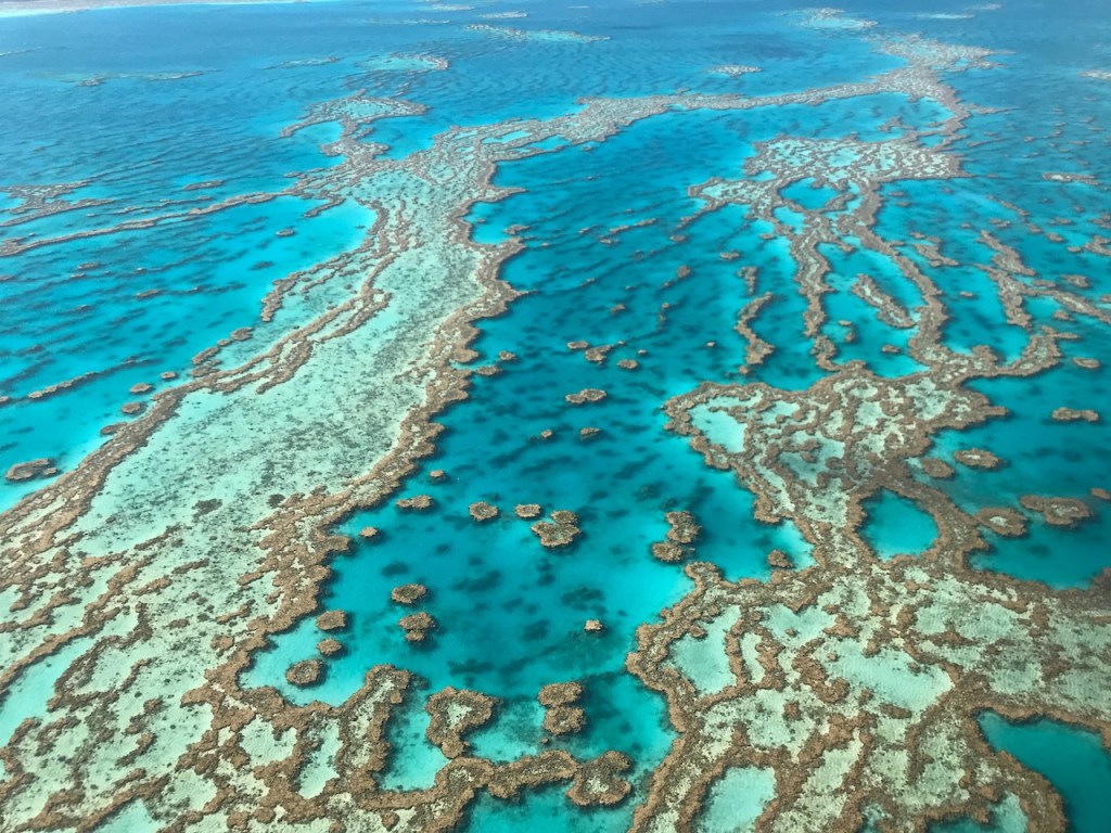 44+ Exploring Melbourne To Whitsunday Airport Tour