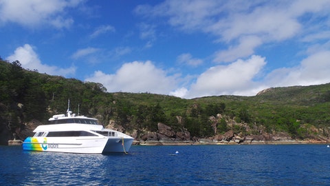 41+ Exploring Cruise Whitsunday Deals&nbsp;Sightseeing