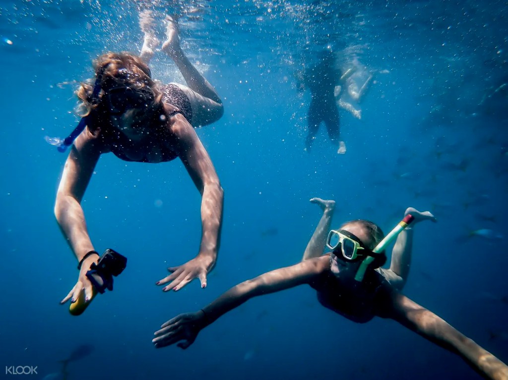 43+ Wonderful Whitsundays Diving Day Trip&nbsp;Excursion