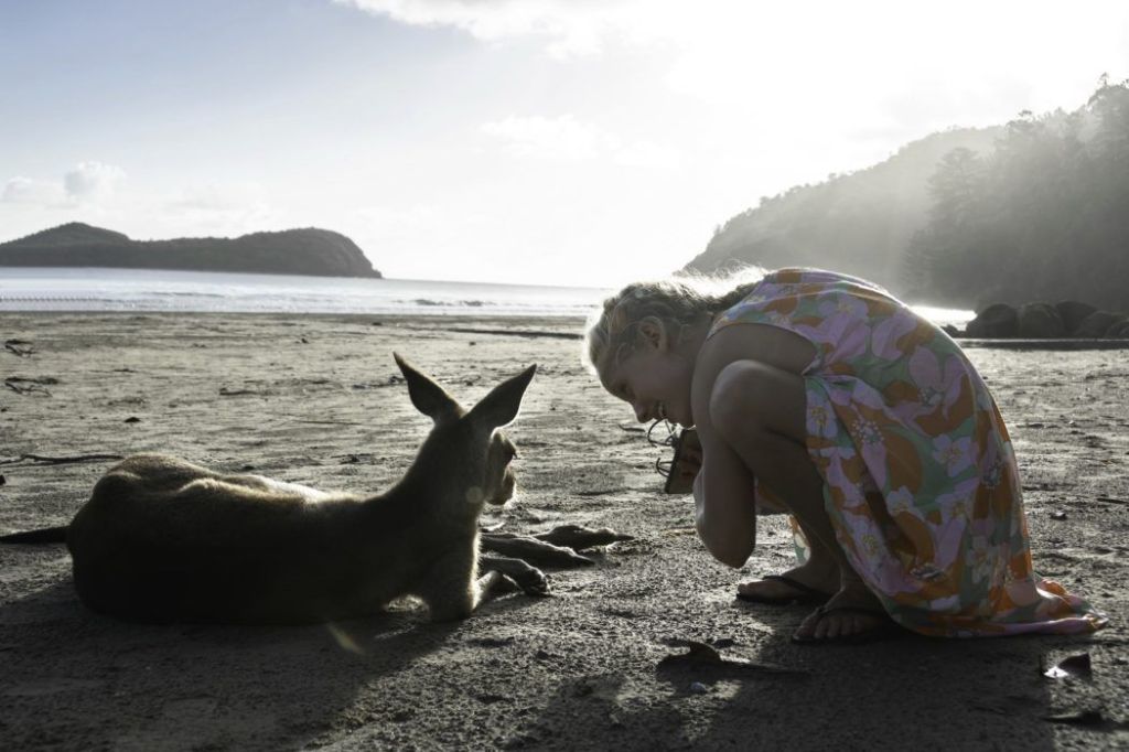 50+ Best Day Trips To Whitsundays From Mackay&nbsp;Excursion