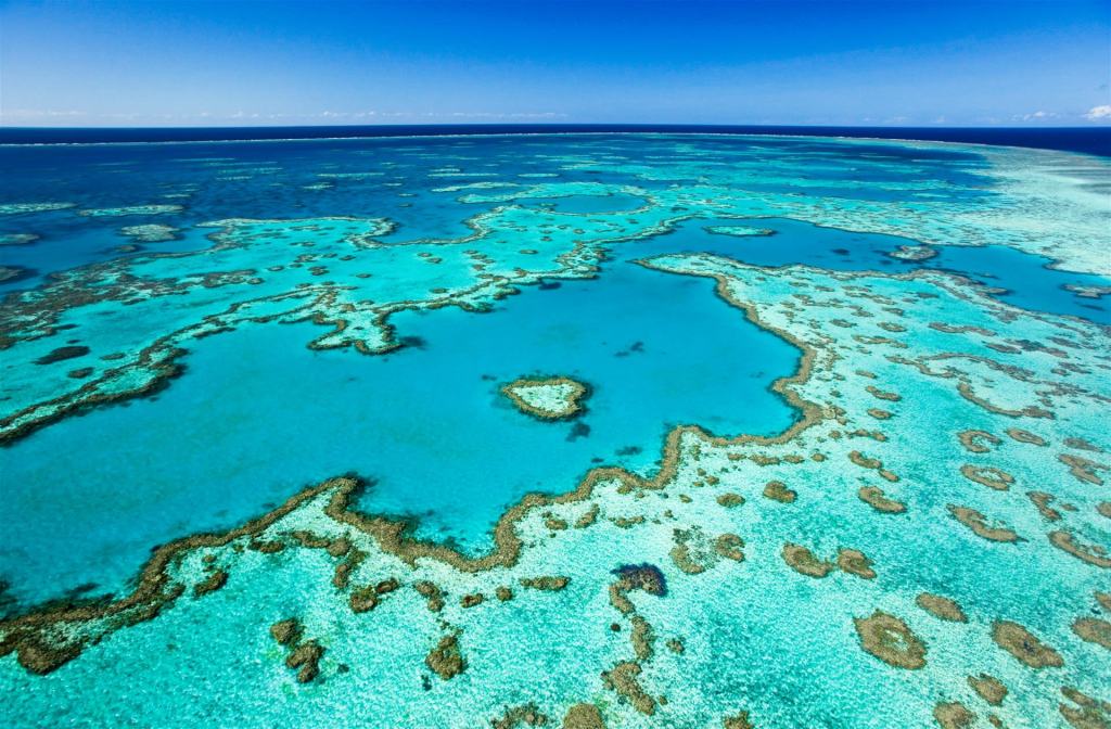27+ Amazing Great Barrier Reef And Whitsundays Tours&nbsp;Sightseeing