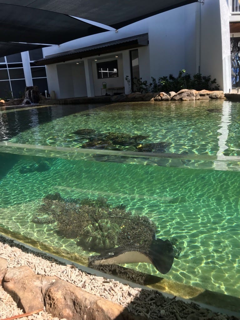 16+ Best Daydream Island Resort Whitsundays Australia&nbsp;Tour