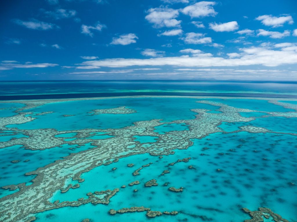45+ Best Cruise Whitsunday Reef World&nbsp;Trip