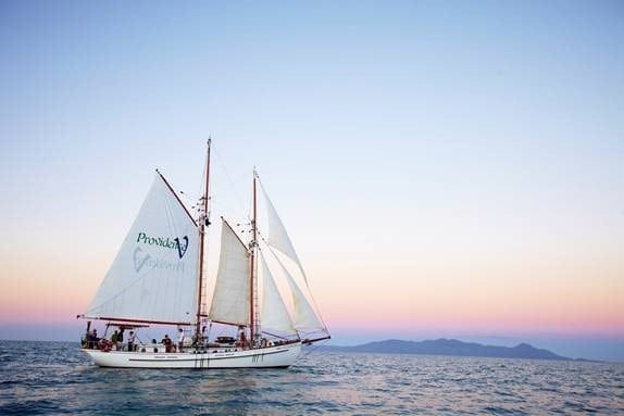 41+ Top Cruise Whitsunday Ferry Times&nbsp;Excursion