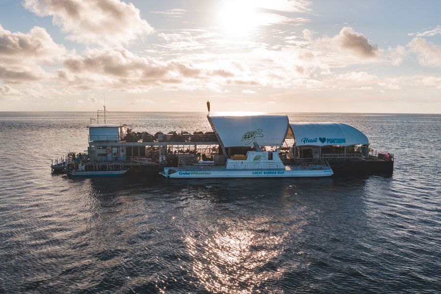 28+ Top Great Barrier Reef Tours Whitsundays&nbsp;Trip