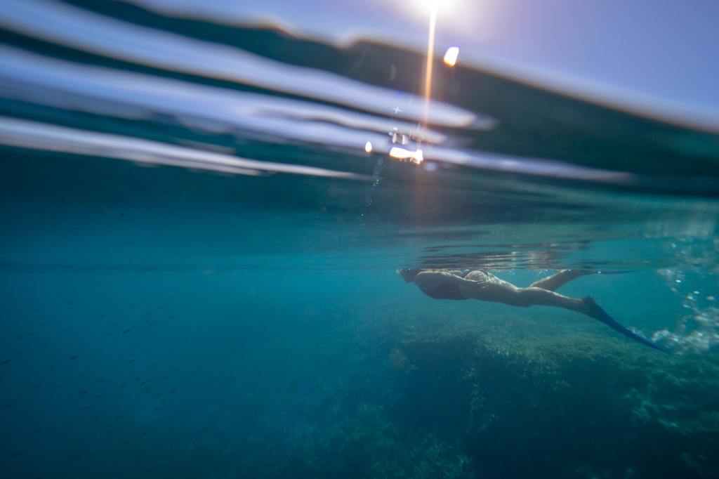 27+ Amazing Half Day Snorkelling Airlie Beach&nbsp;Sightseeing