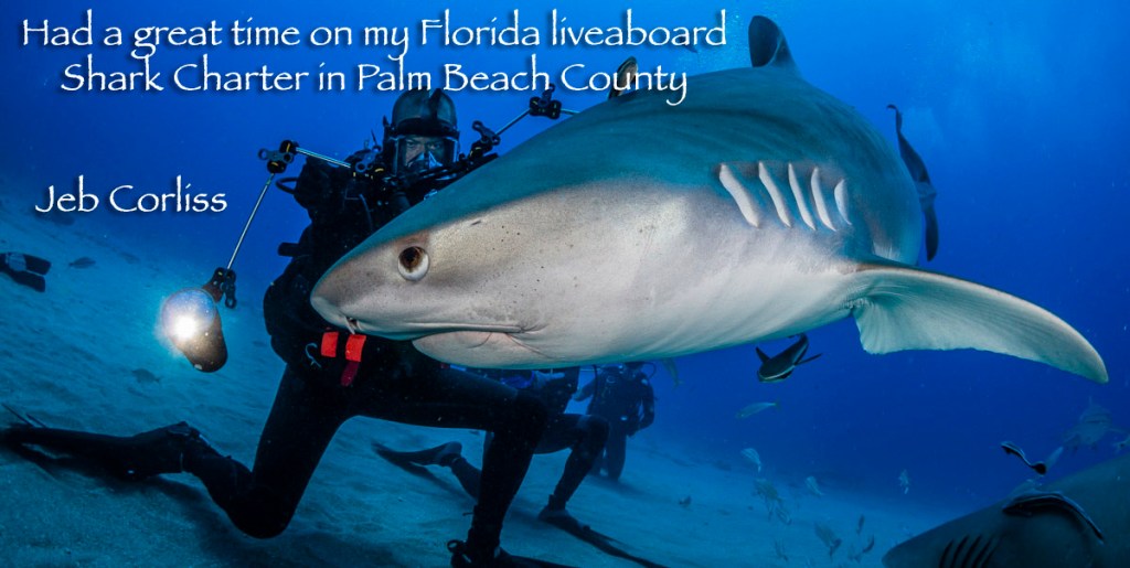 40+ Best Liveaboard Dive Trips Florida Excursion
