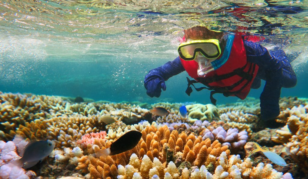 41+ Exploring Great Barrier Reef Australia Vacation&nbsp;Sightseeing
