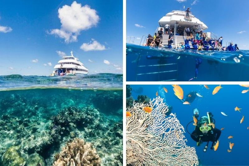 12+ Exploring Great Barrier Reef Excursions&nbsp;Holiday