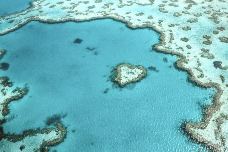 45+ Amazing Great Barrier Reef Whitsunday Islands Holiday