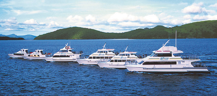16+ Top Cruise Whitsunday Tours&nbsp;Trip