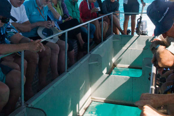 11+ Exploring Glass Bottom Boat Great Barrier Reef Airlie Beach Excursion