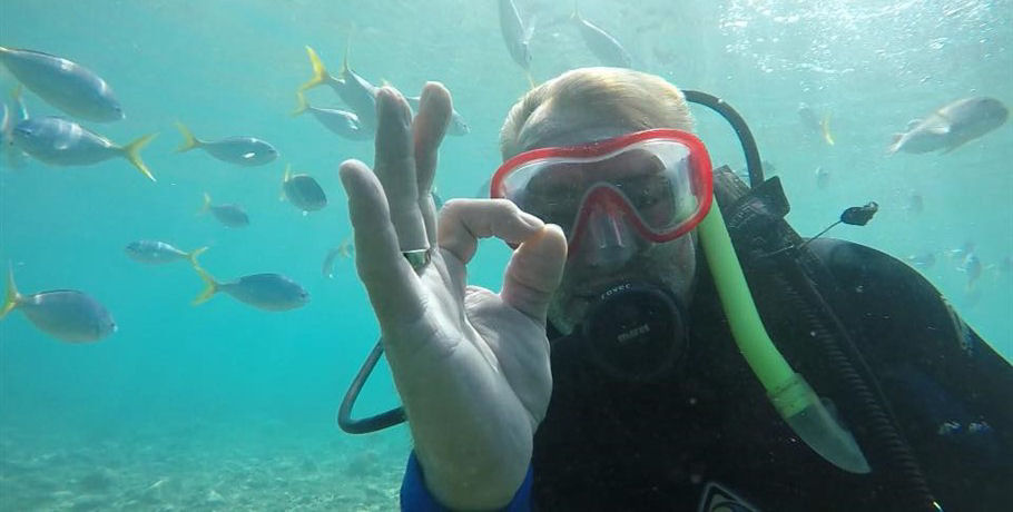 43+ Wonderful Whitsundays Day Sail Snorkel And Dive – Illusions 2&nbsp;Tour