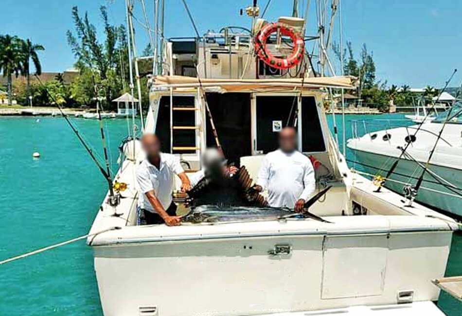 23+ Best Private Boat Charter Jamaica Sightseeing