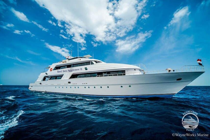43+ Exploring Liveaboard Dive Boats Caribbean&nbsp;Excursion