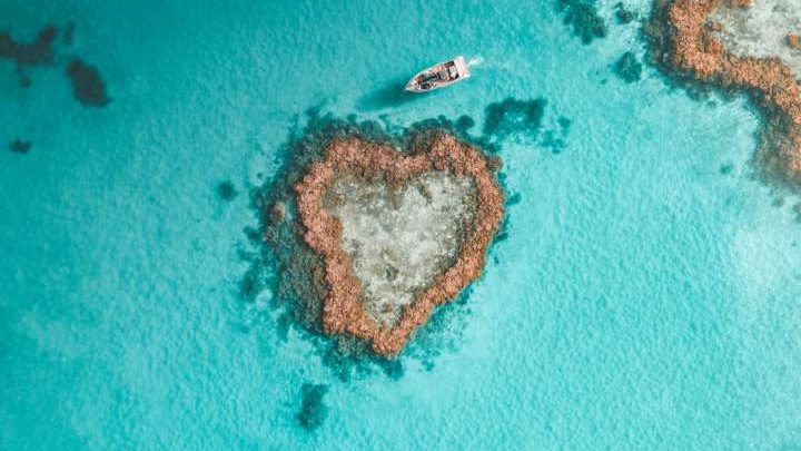 22+ Top Whitsundays Great Barrier Reef Tour Pontoon Experience&nbsp;Excursion