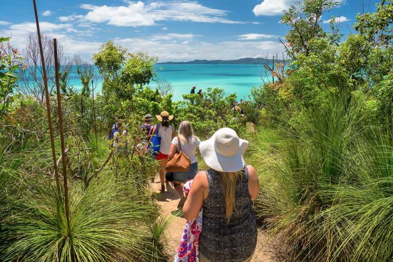 49+ Exploring Whitsundays Sailing Guide Sightseeing